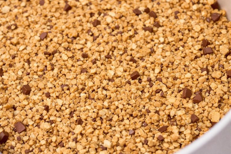 Biscuit croustillant pour fond de gâteau sans crêpe dentelle