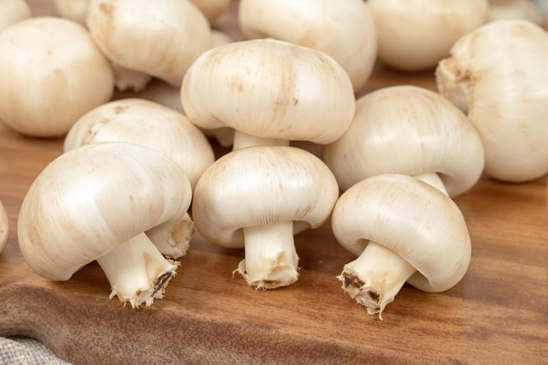 Comment savoir si des champignons de Paris sont encore bons ?
