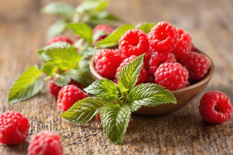 Ce gastro-entérologue mise sur un fruit estival pour préserver sa santé intestinale.jpg